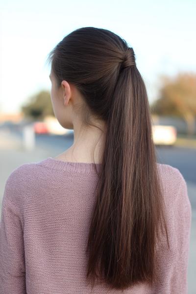 11. Long Straight Hair French Twist Pony Hybrid for hairstyles for school straight hair long ideas