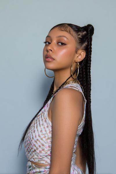 16. Y2K Double Mini Braids Framing the Face for hairstyles for school straight hair y2k ideas