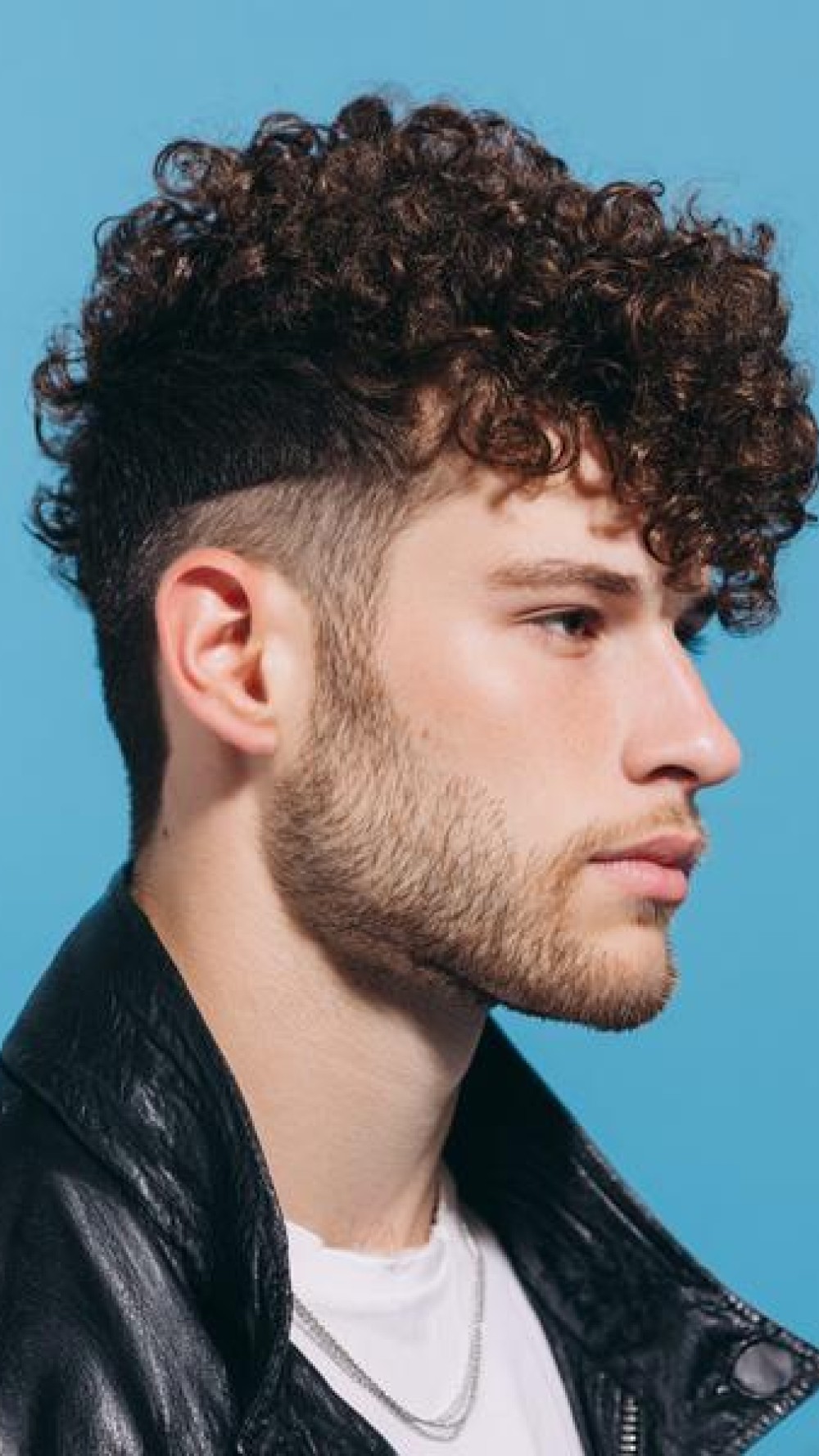 hairstyles for curly hair men - Hairstyles For Curly Hair Polished Evening Out Ideas