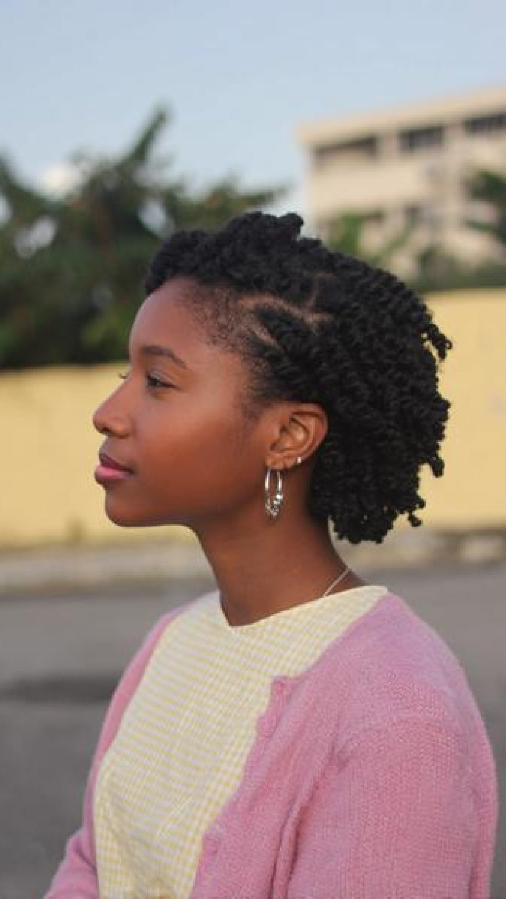 hairstyles for school natural hair kids - Hairstyles For School Natural Hair Braided Glory